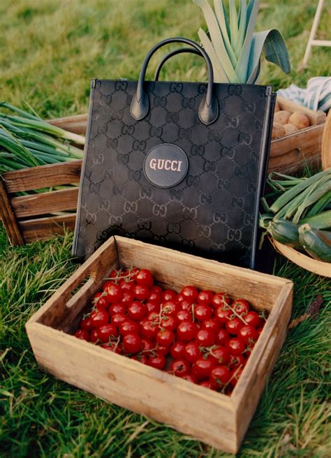 gucci tumblr frasi|Presenting Gucci Off The Grid .